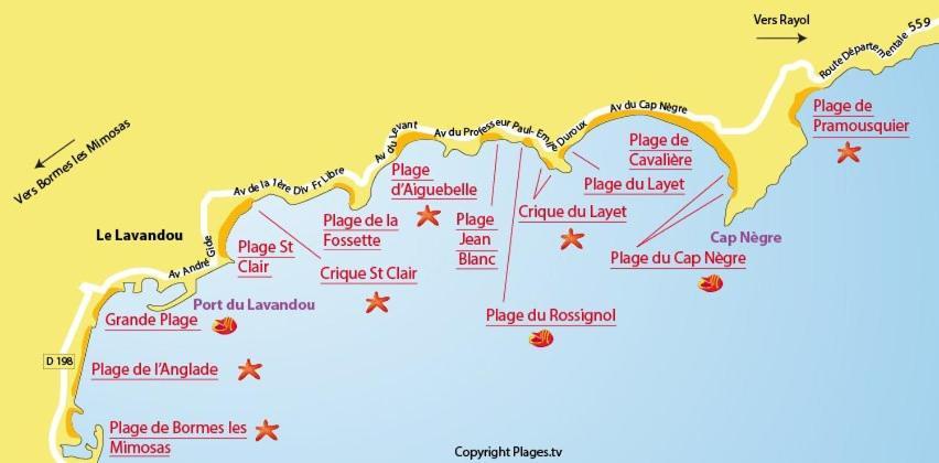 Mazet De La Mer 54M2 Lavandou 100M Plage Avec Piscine Le Lavandou Ngoại thất bức ảnh